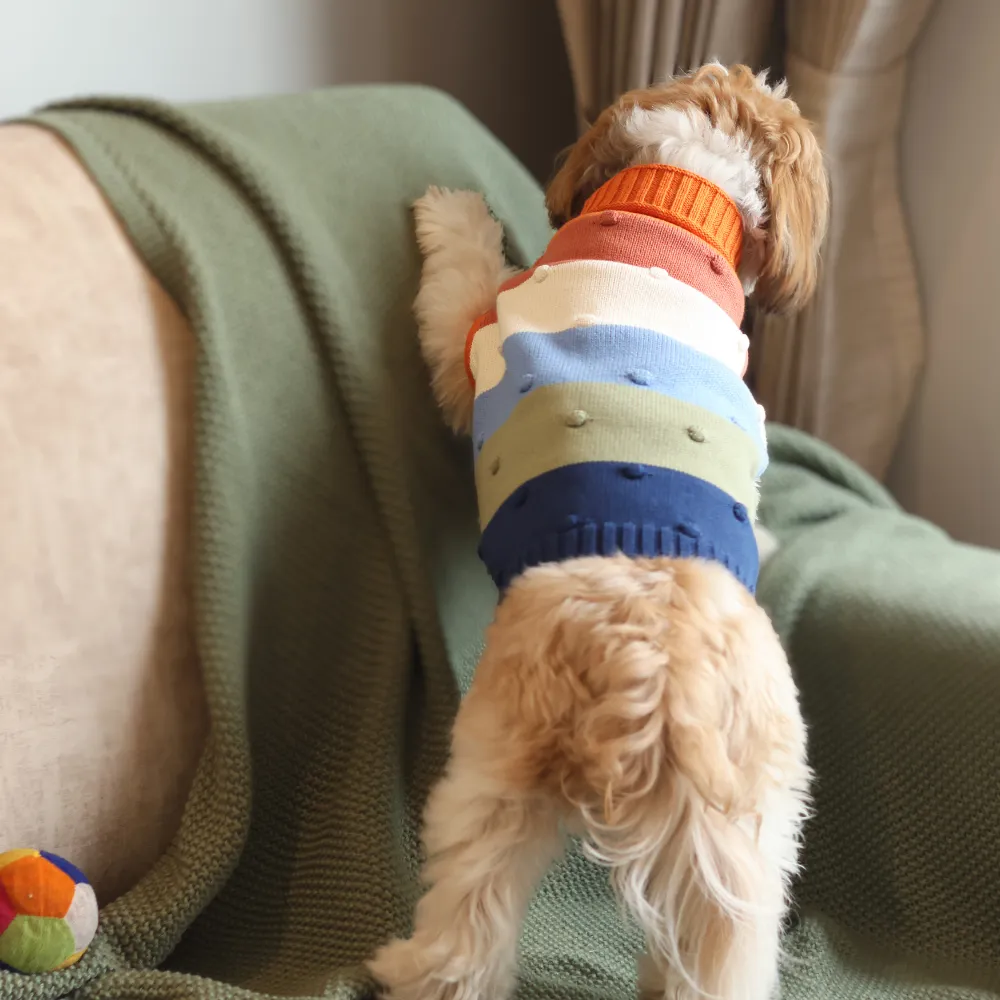 Pack of 3 Dog sweaters Snowy