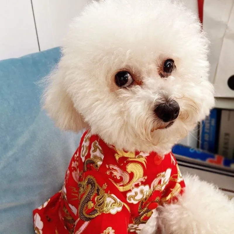 Winter Warm Dog Jacket  Chinese Styles Embroidery Clothes